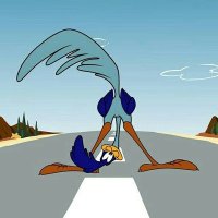 roadrunneruniverse1677